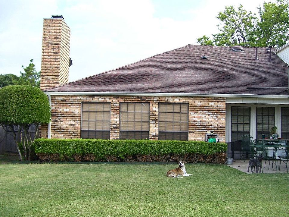 Back yard #1