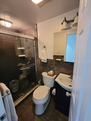 Rented by GPS Realty NYC | media 33