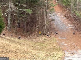 43 Inwood Ln, Blairsville, GA 30512