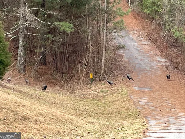 43 Inwood Ln, Blairsville, GA 30512