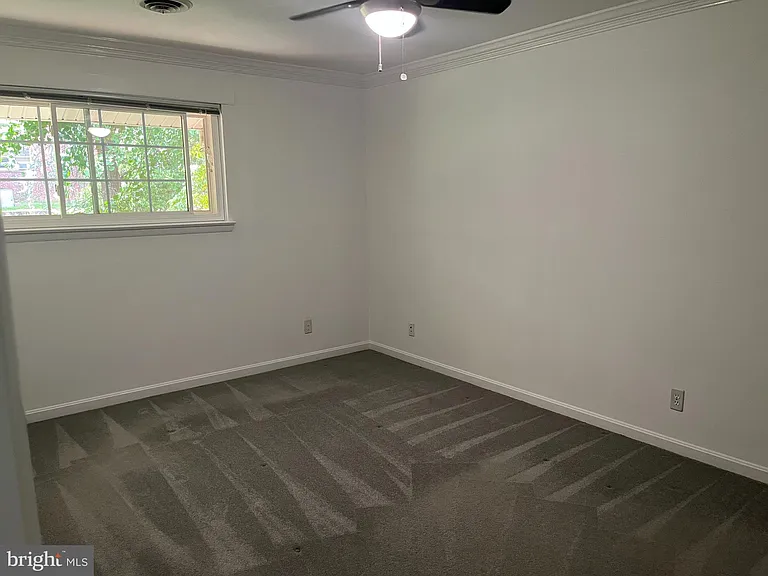 921 Prospect St #5 — Photo 19