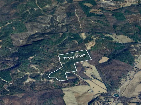 0 County Road 62, Gaylesville, AL 35973