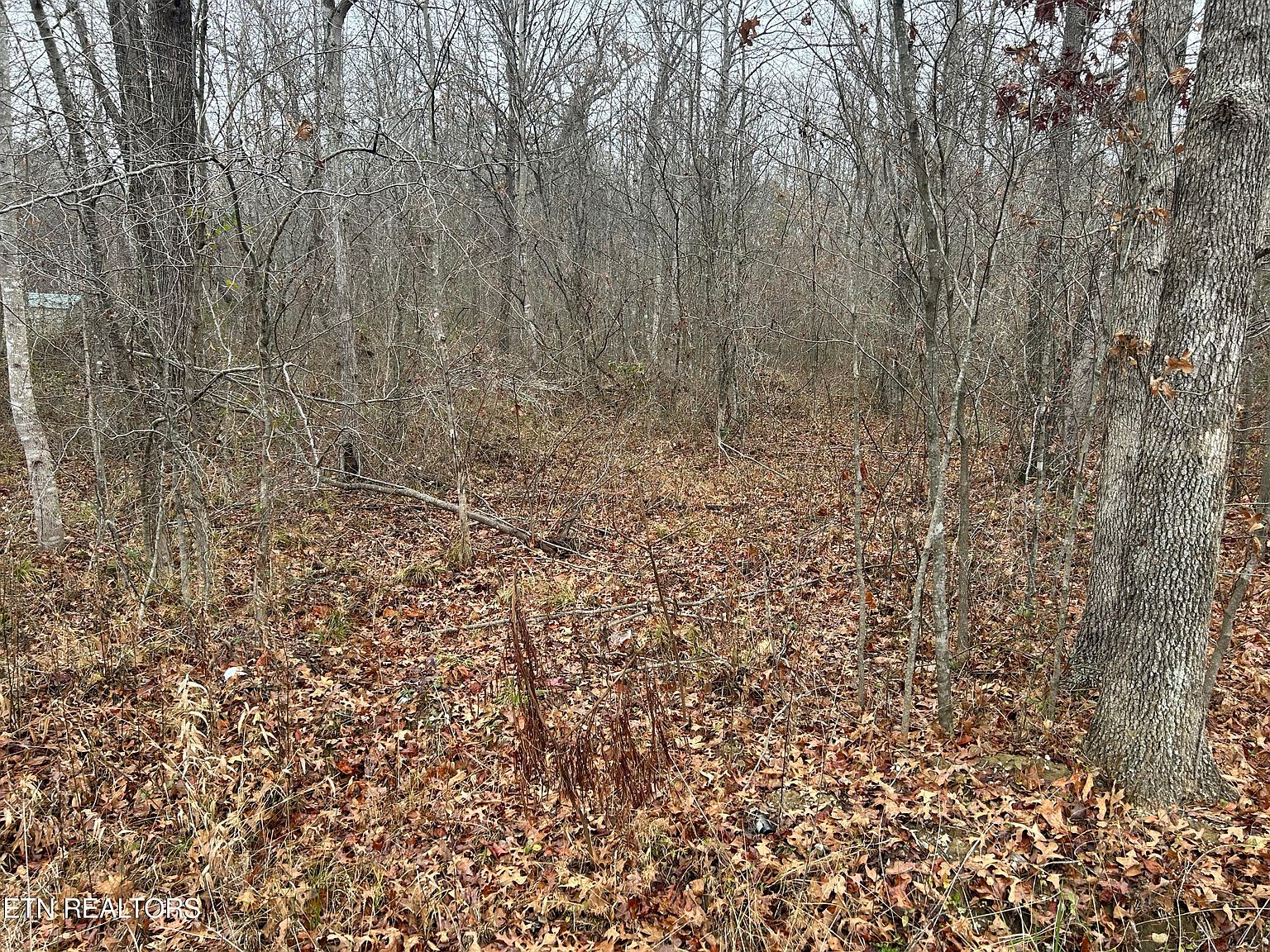 Benton Ln, Jamestown, TN 38556 Zillow