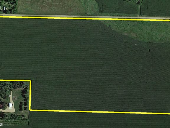 Google Earth Bauman