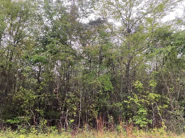 0 Refuge Lake Rd, Ellisville, MS 39437