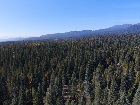 3rd image of MT. Shasta Dr