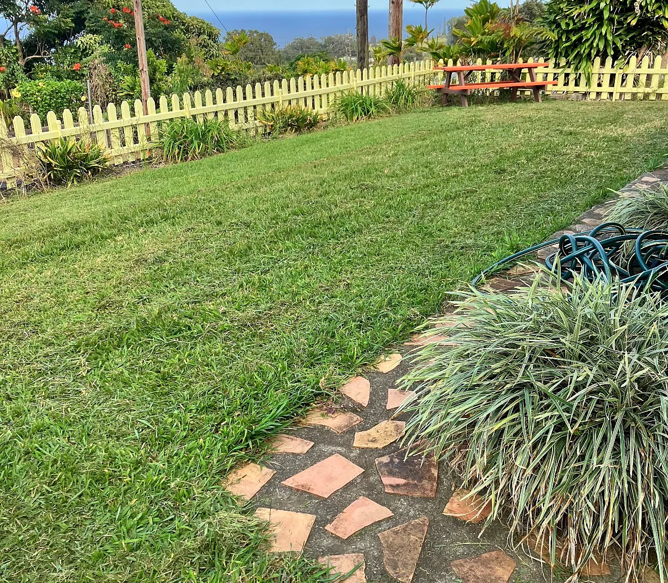 3 bed, 1100 sqft, $2,800 — Photo 4