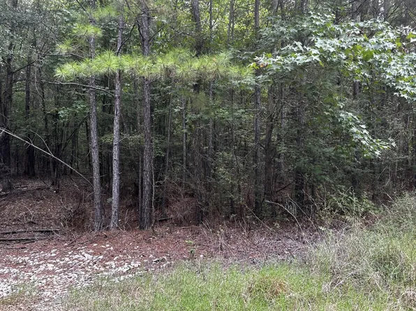 0 Cordova Rd, Grand Cane, LA 71032