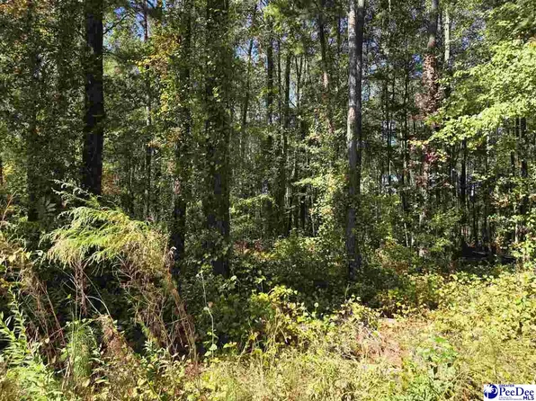 0 Highway 265, Ruby, SC 29741