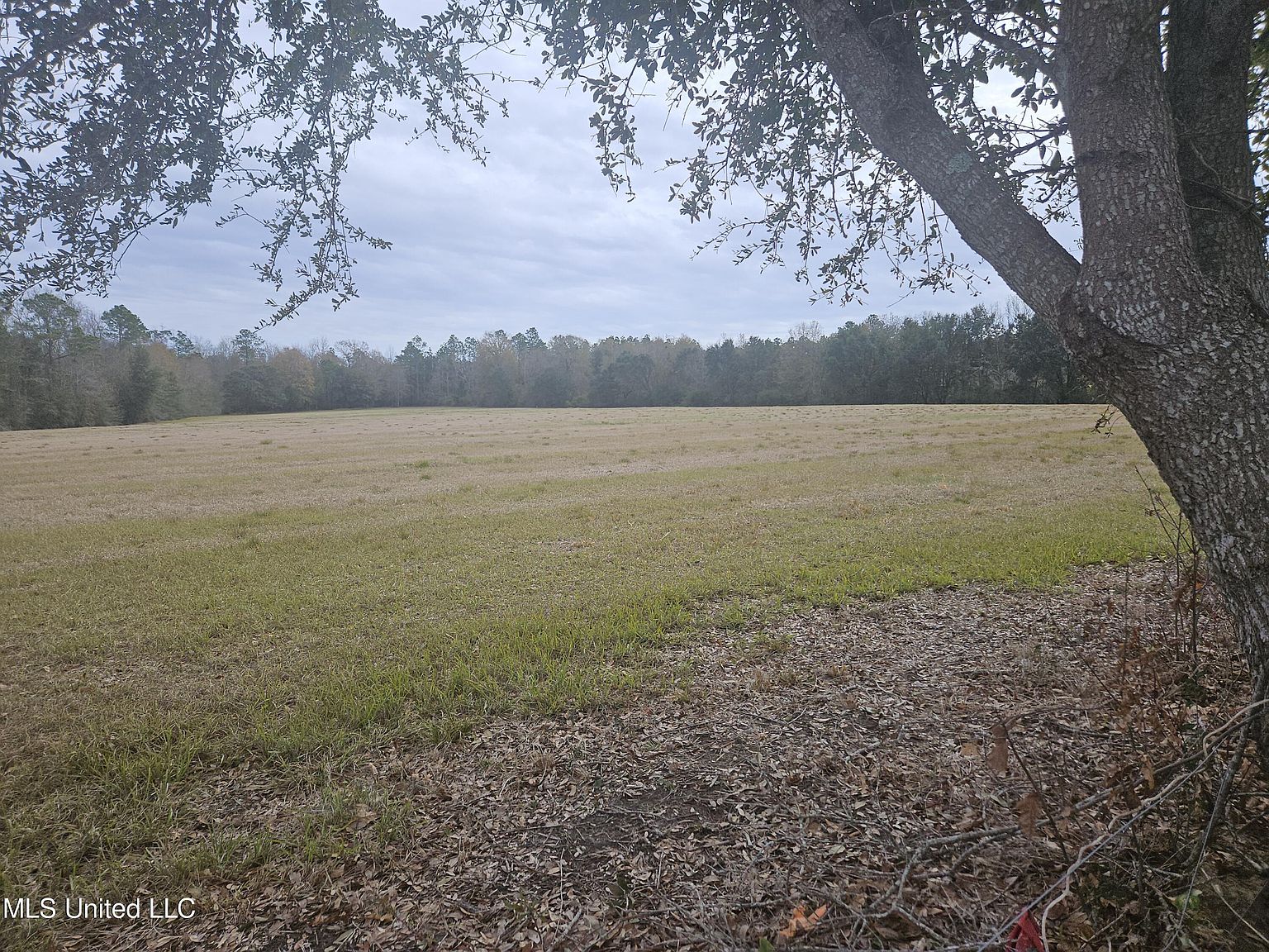15361 John Clark Rd, Gulfport, MS 39503 MLS 4068254 Zillow