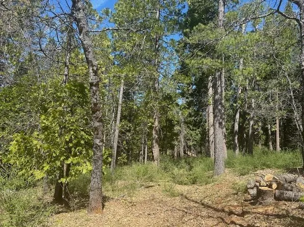 2928 Pine Knoll Dr, Arnold, CA 95223