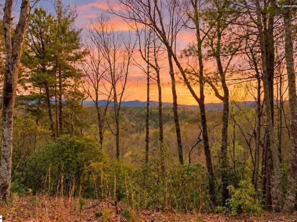 217 Buttercup Way, Sunset, SC 29685