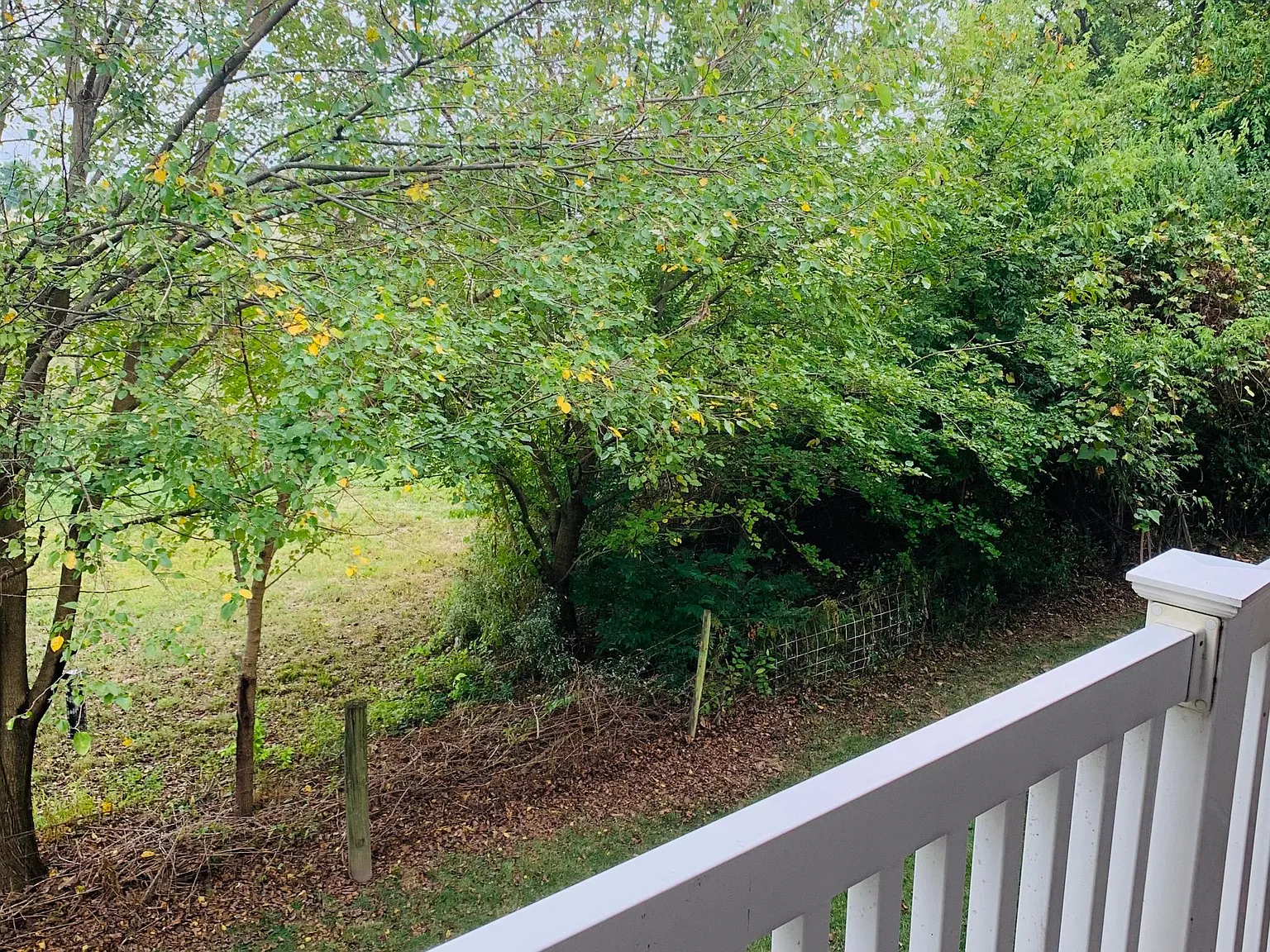 2 bed, 1110 sqft, $1,475 — Photo 4
