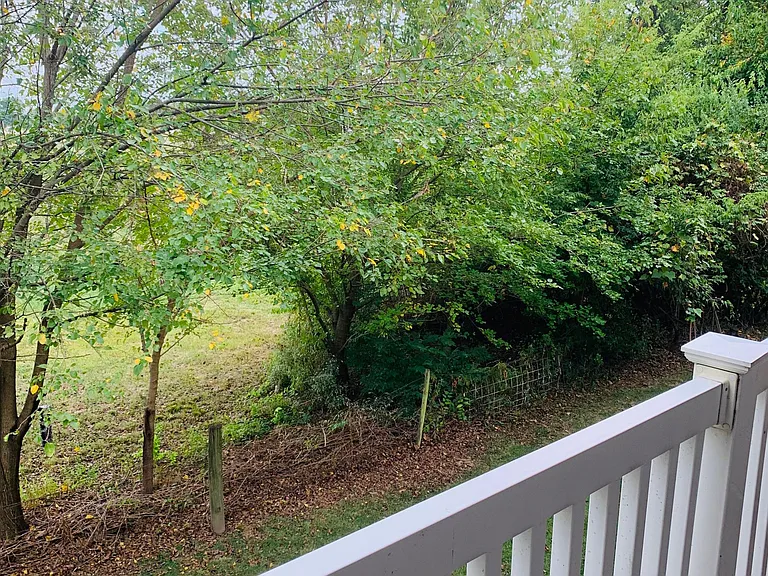 7123 Welsh Dr — Photo 4