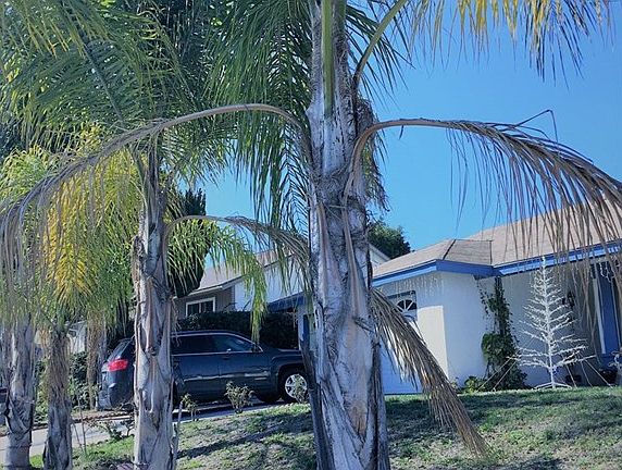 3rd image of 18685 Alderbury Dr