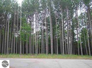 Stream View Ln, Williamsburg, MI 49690