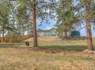 191 Crystal Peak Cir, Florissant, CO 80816