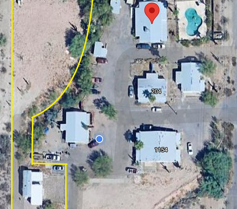 Cactus 14 Arial_12172024