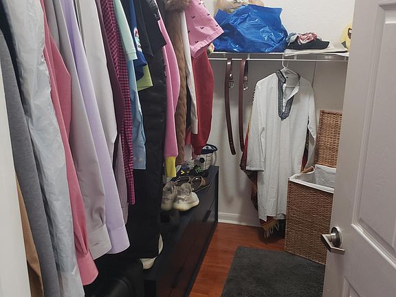 Master Walk in Closet