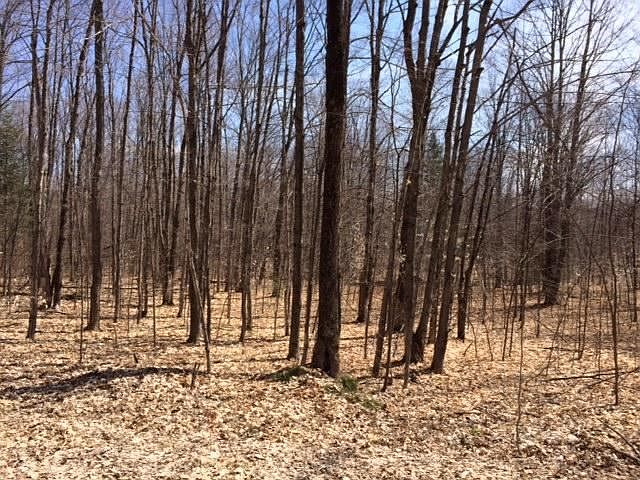 2nd image of 15429 Wurm Rd