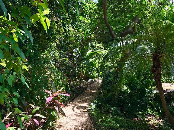 Path to backyard