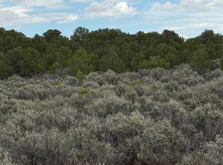Lot 2 Colorado Rd, Tres Piedras, NM 87577