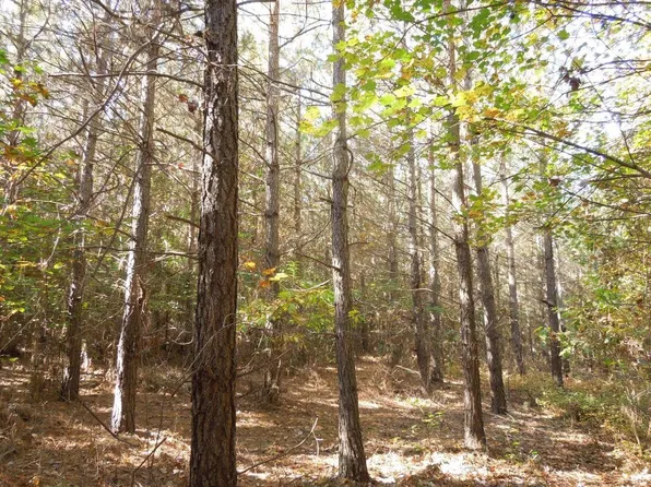 McDuffie Rd, Biscoe, NC 27209