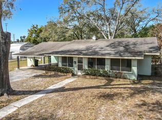 313 S Rossiter St, Mount Dora, FL 32757