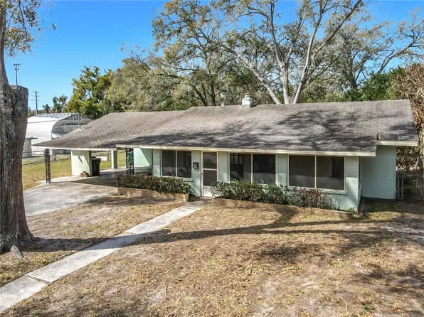 313 S Rossiter St, Mount Dora, FL 32757