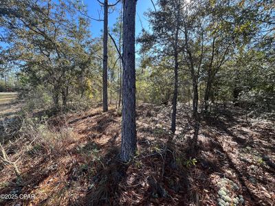 LOT 17 Shelby Ct, Chipley, FL, 32428