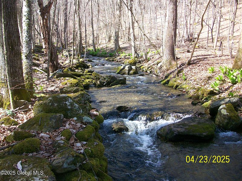 3rd image of 534 Rabbit College Road