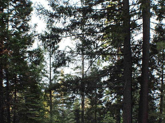 5th image of 777 Lassen View Dr