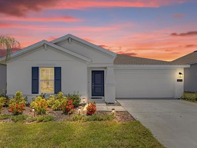 26110 Bristleleaf Ct, Leesburg, FL, 34748