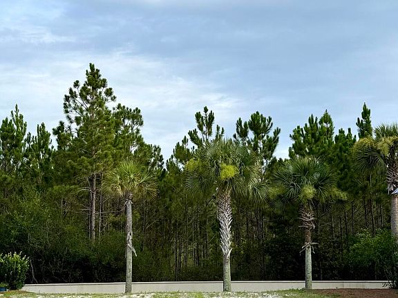 2nd image of 151 Cypress Psge Lot 11B