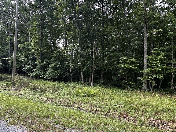 5th image of 3031 Shawnee Rd