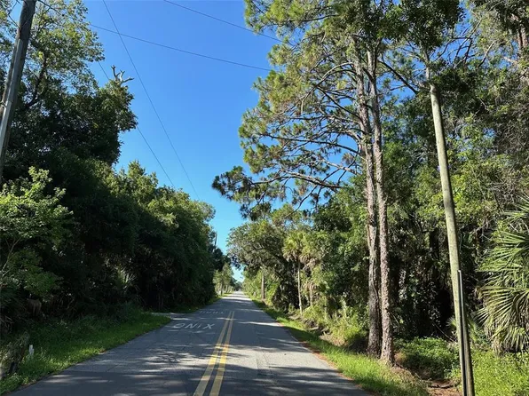 Dog Leg Trl #160, Osteen, FL 32764