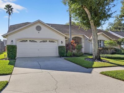 9203 Sunflower Dr, Tampa, FL, 33647