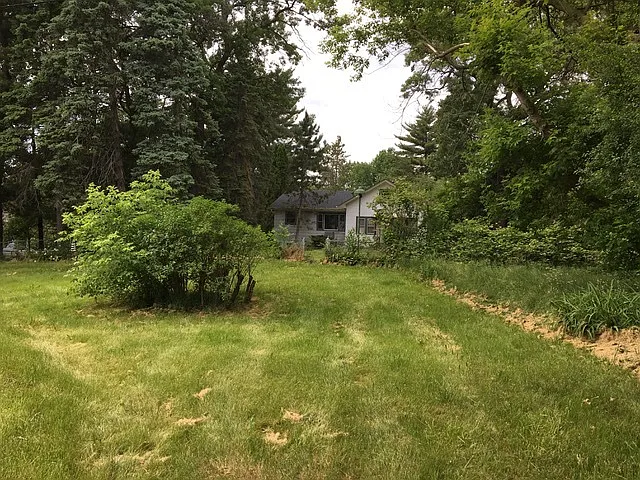 27680 W Luana Ln photo 1