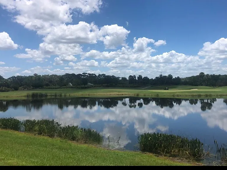 Lanai view