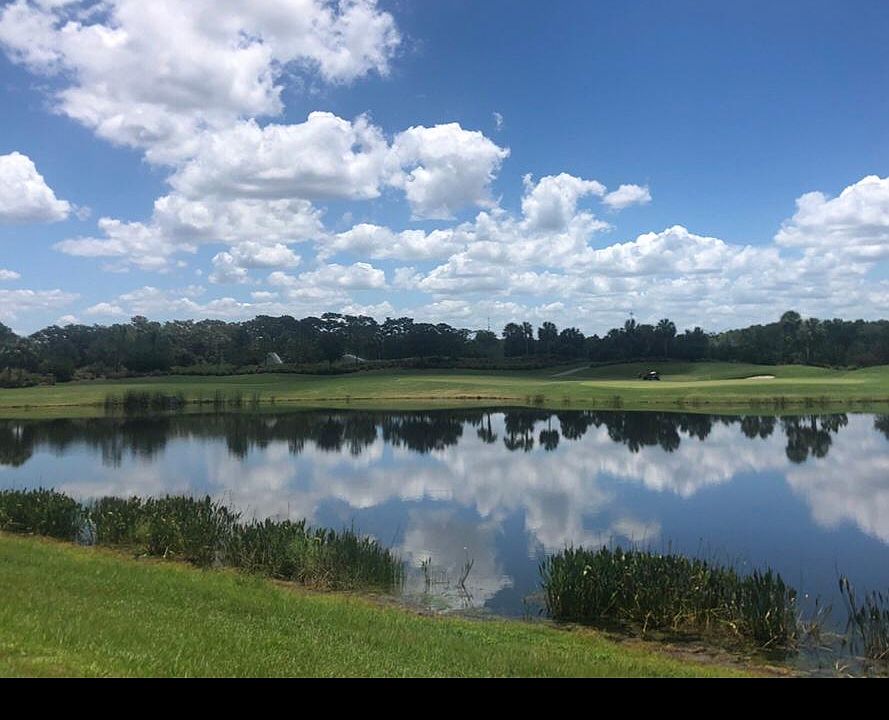 Lanai view