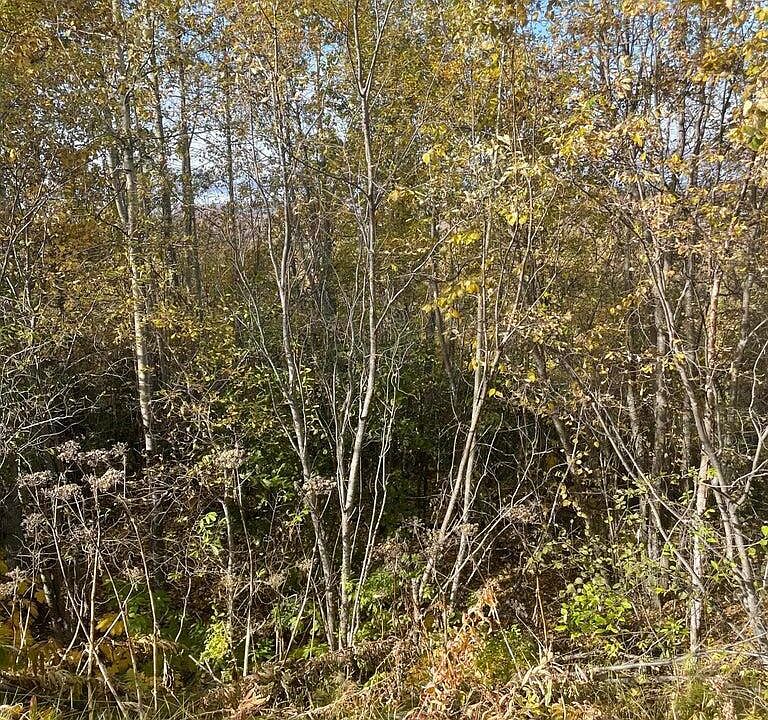 2nd image of L1 & L7 S Birchwood Loop Rd