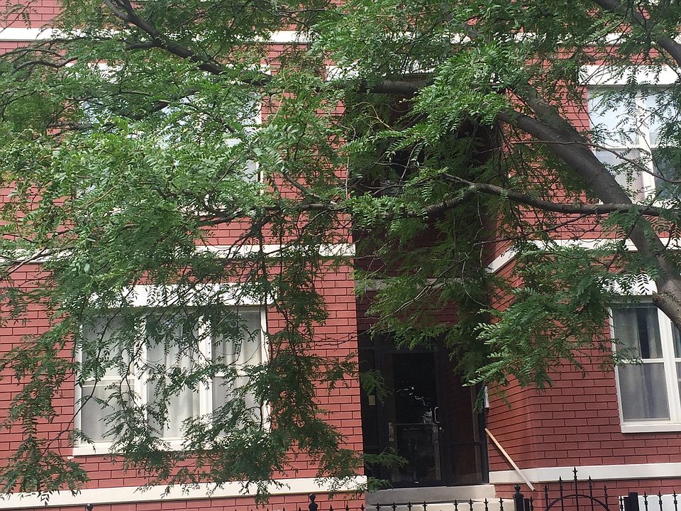 1st image of 6528 S University Ave Unit 1S