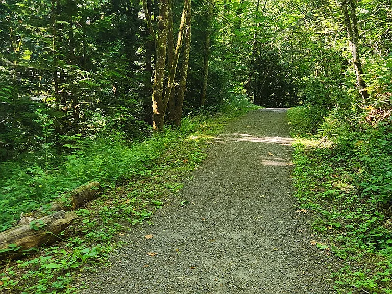 Forest Heights HOA trailhead