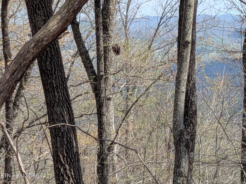 1st image of Short Moutain Rd