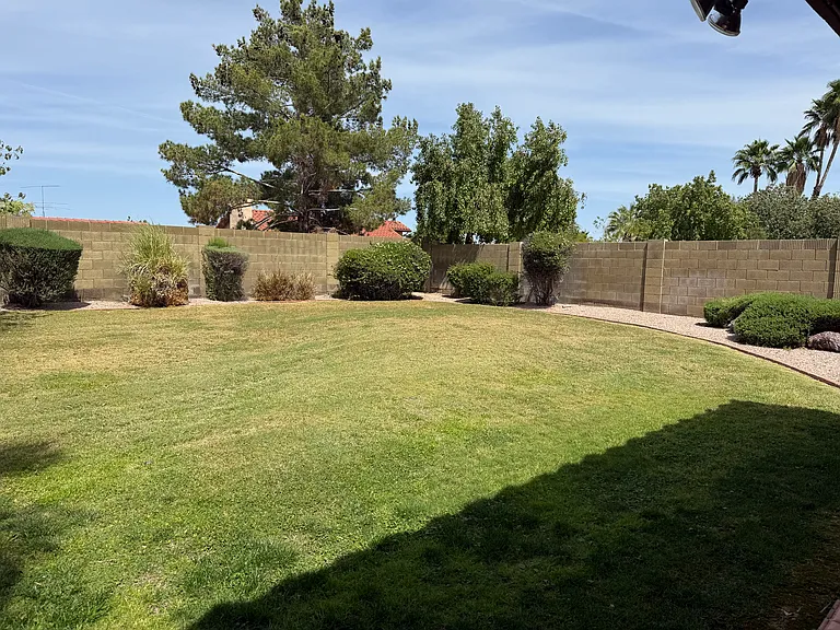 Large backyard