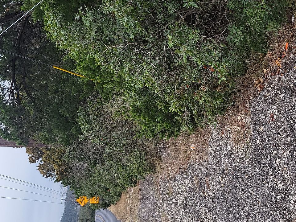 2nd image of 21833 Scenic Loop Rd LOT 4613