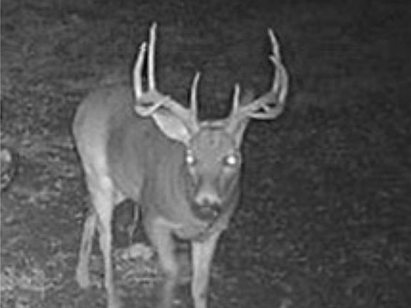 5th image of Us Highway 65 Lot Wp001