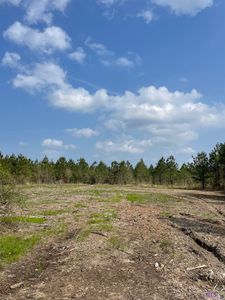 TRACT 8 Lorin Wall Rd Lot 8, Holden, LA, 70744