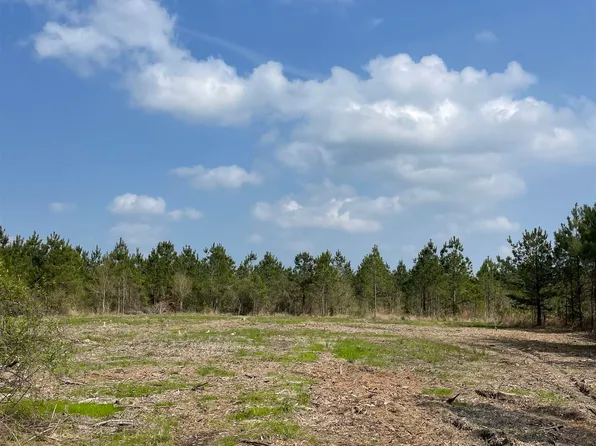 TRACT 8 Lorin Wall Rd Lot 8, Holden, LA 70744