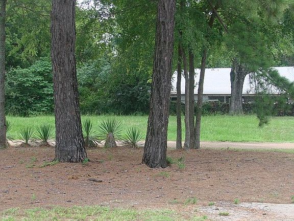 Xtra lot across Driveway